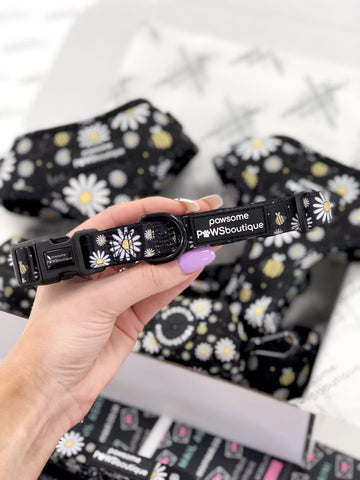 Pawsome Paws Boutique Dog Collar - Bee Kind